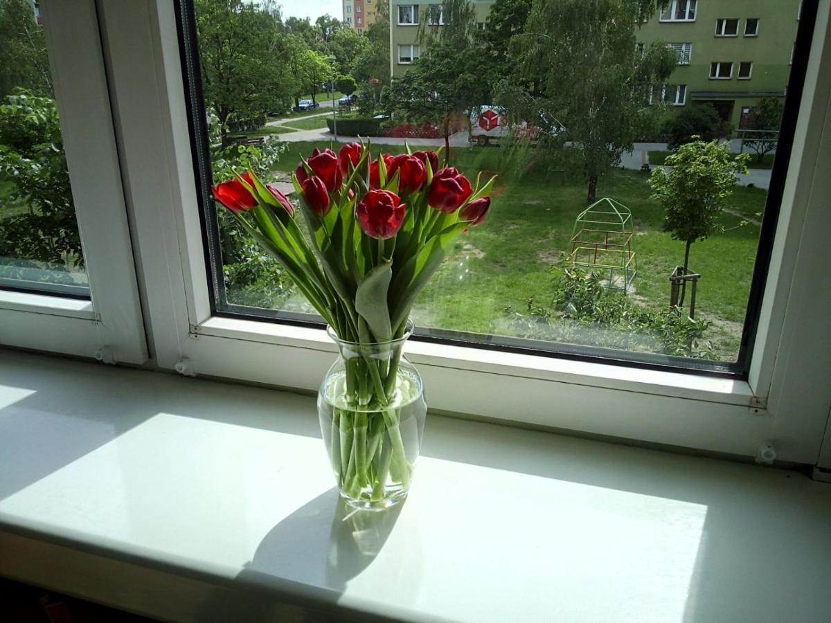 פלוק Apartament Usmiech מראה חיצוני תמונה
