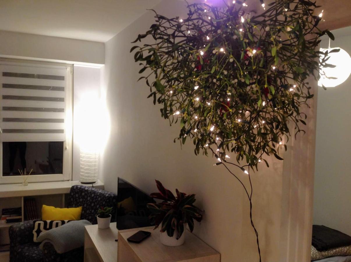 פלוק Apartament Usmiech מראה חיצוני תמונה